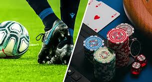 Découvrez Betwinner  La plateforme incontournable des paris sportifs Découvrez Betwinner  La plateforme incontournable des paris sportifs