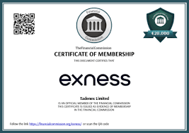 Enhance Your Trading Experience with Exness App
