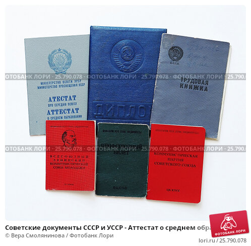 Купить диплом НГУФКСиЗ - Быстро и Надёжно